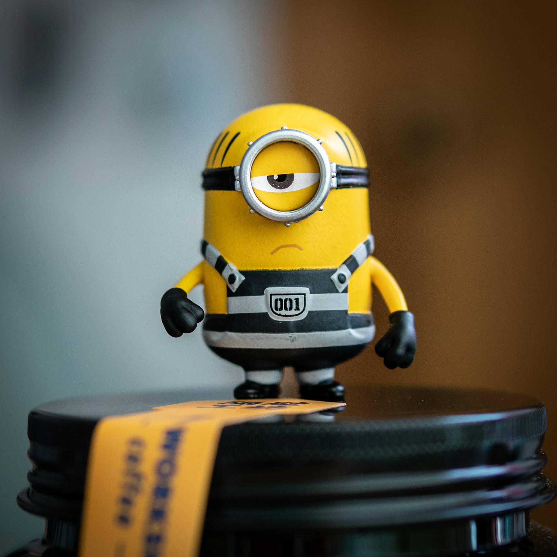 alison-wang-mou0s7vielq-unsplash.jpeg